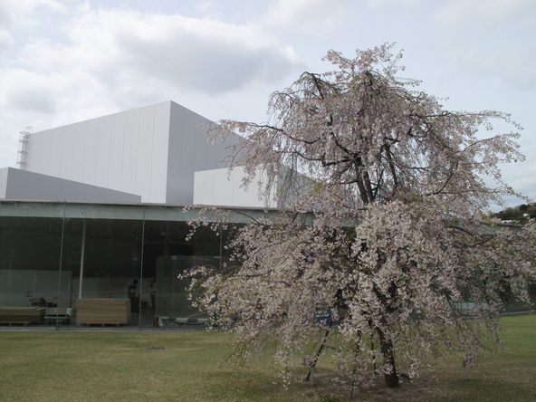 Field Trip: 21st Century Museum of Contemporary Art, Kanazawa
