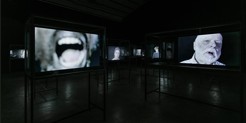 HE XIANGYU, Turtle, Lion and Bear, 2015, 25-channel video in 21 vitrines, video lengths variable. Courtesy the artist and White Cube.