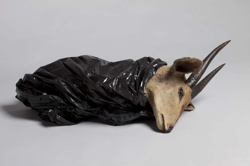 SUNIL SHAH, Reification III, 2012, mixed media, taxidermy, black polythene bag, dimensions variable.