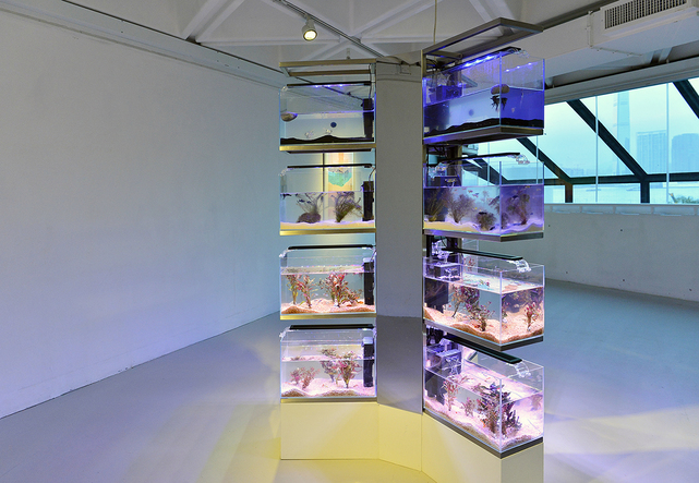 Installation view of MAP OFFICE’s Wanchai Islands: Wanchai Island, 2018, stainless steel, glass, salt, water, pump, neon light, seaweed and fishes, 220.4 × 119.8 × 138.8 cm, at “Wan Chai Grammatica: Past, Present, Future Tense,” Hong Kong Arts Centre, 2018.