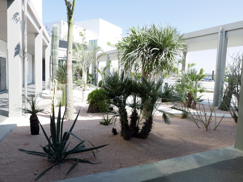 One of the gardens designed by landscape architect ANOUK VOGEL outside the entrance to the Centre.