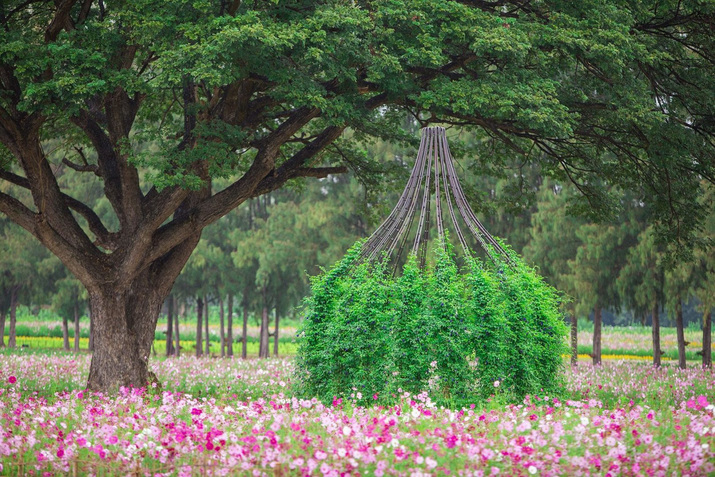 Detailed installation view of PINAREE SANPITAK’s Breast Stupa Topiary, 2018, mixed media, dimensions variable, at “Art on Farm,” Jim Thompson Farm, Nakhon Ratchasima, 2020.