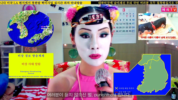Pendulating Identities: The Digital Doubles of Korean Artists
