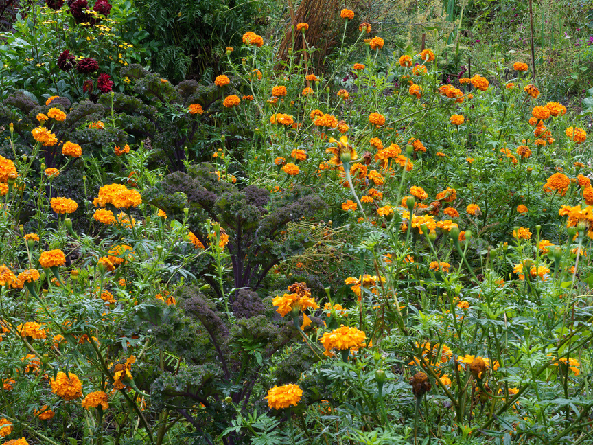 DANH VO’s workshop garden in Güldenhof, Brandenburg. Photo by Nick Ash.